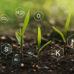 Test Your Soil First, Then Buy Nutrients
